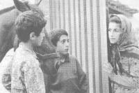 نمایی از فیلم