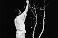 حکایت مروارید