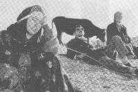 نمایی از فیلم