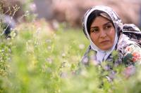 مریلا زارعی در نمایی از فیلم « شیار 143»