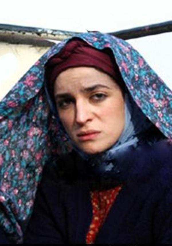 پروانه ای در مه